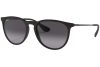 Ray-Ban Erika RB4171 622/8G