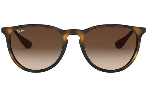 Ray-Ban Erika RB4171 865/13