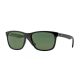 Ray-Ban RB4181 601