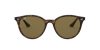 Ray-Ban RB4305 710/73