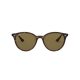 Ray-Ban RB4305 710/73