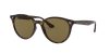 Ray-Ban RB4305 710/73