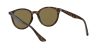 Ray-Ban RB4305 710/73