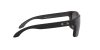 Oakley Holbrook XS OJ9007 09