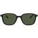 Ray-Ban Leonard RB2193 901/31