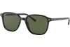 Ray-Ban Leonard RB2193 901/31