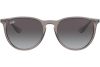 Ray-Ban Erika RB4171 65138G