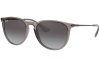 Ray-Ban Erika RB4171 65138G