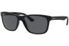 Ray-Ban  RB4181 601/87