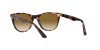 Ray-Ban RB2185 133451