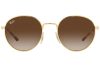 Ray-Ban RB3681 001/13