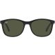 Ray-Ban RB4374 601/31