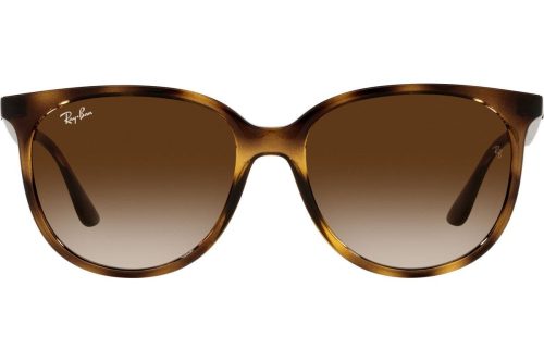 Ray-Ban RB4378 710/13