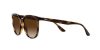 Ray-Ban RB4378 710/13