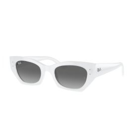 Ray-Ban RB4430 675911