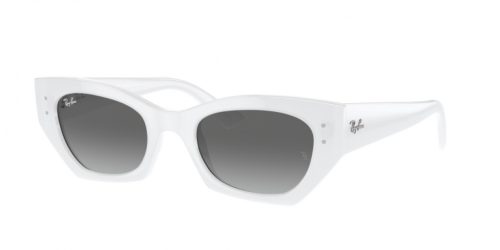 Ray-Ban RB4430 675911