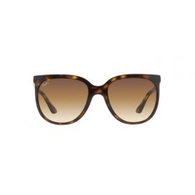 Ray-Ban Cats 1000 RB4126 710/51