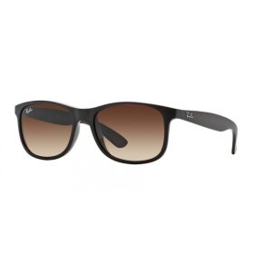 Ray-Ban Andy RB4202 6073/13