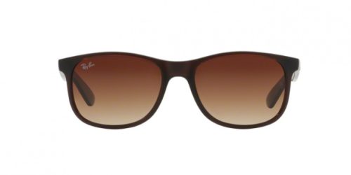 Ray-Ban Andy RB4202 6073/13