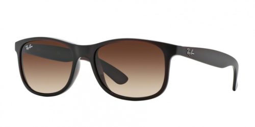 Ray-Ban Andy RB4202 6073/13