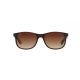 Ray-Ban Andy RB4202 6073/13