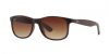 Ray-Ban Andy RB4202 6073/13