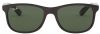 Ray-Ban Andy RB4202 6069/71