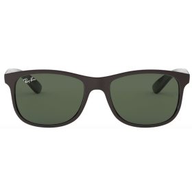 Ray-Ban Andy RB4202 6069/71