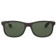 Ray-Ban Andy RB4202 6069/71