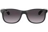 Ray-Ban Andy RB4202 601/8G