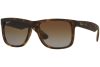 Ray-Ban Justin RB4165 865/T5